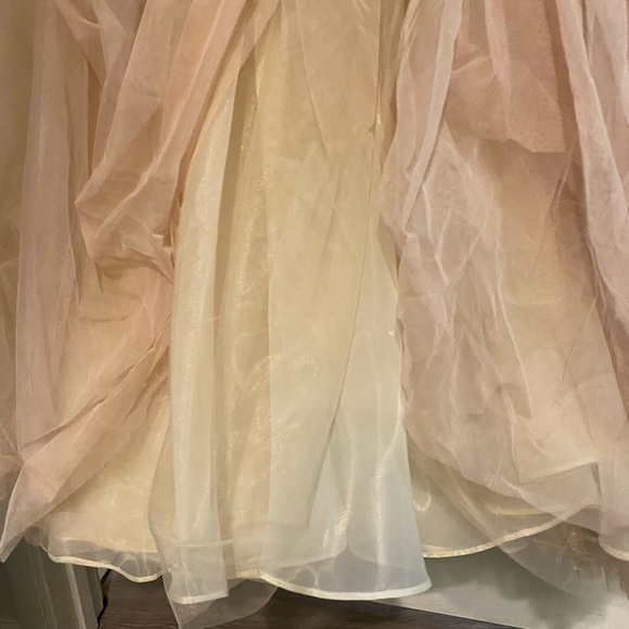 BHLDN Benson Gown, Rose/blush/cream Bridal Gown - Picture 11 of 13